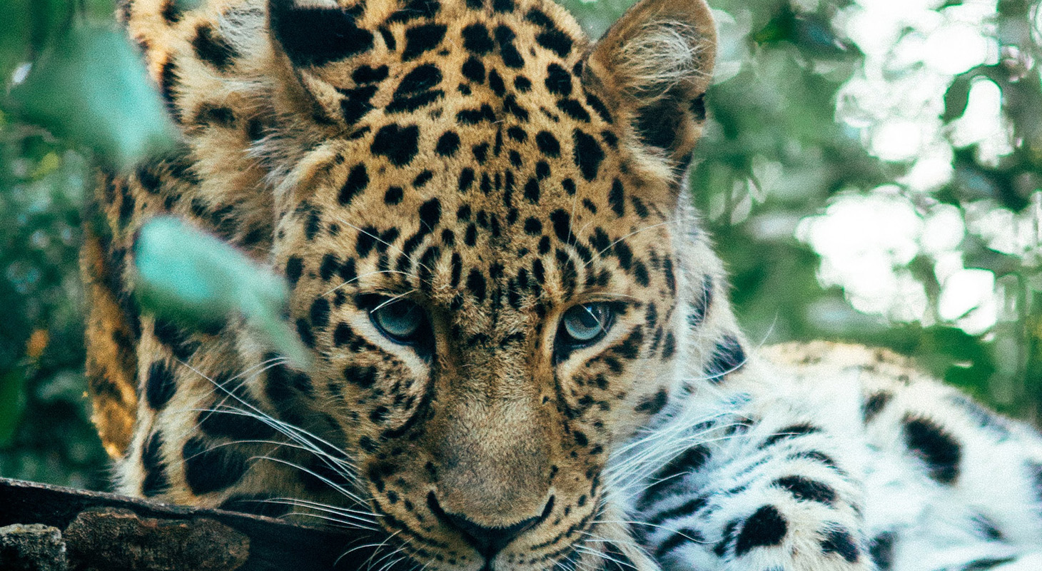 Persons under the age of 18 usually are not permitted to